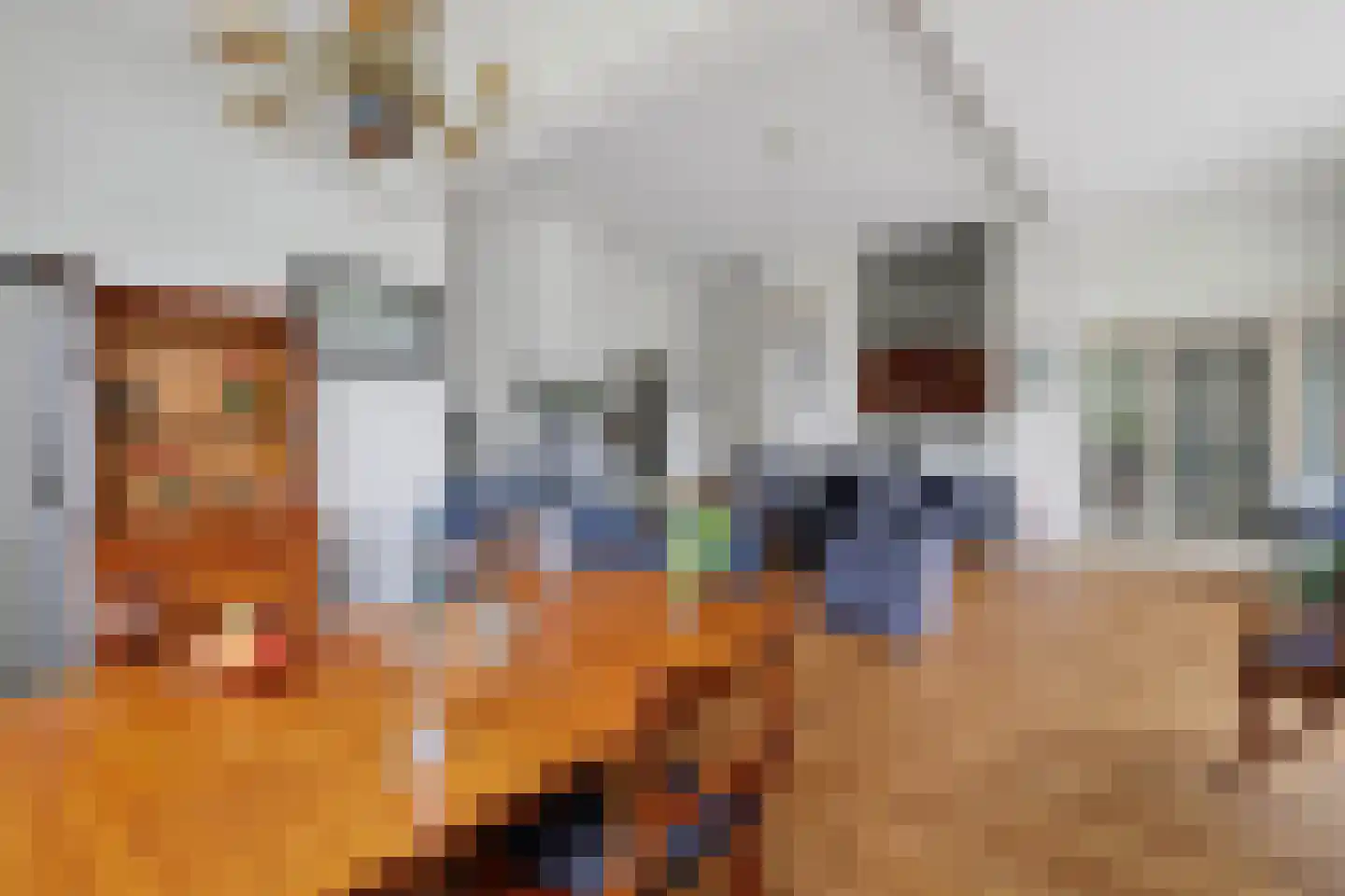 Lopikerhof 2 Schoonhoven thumbnail 17