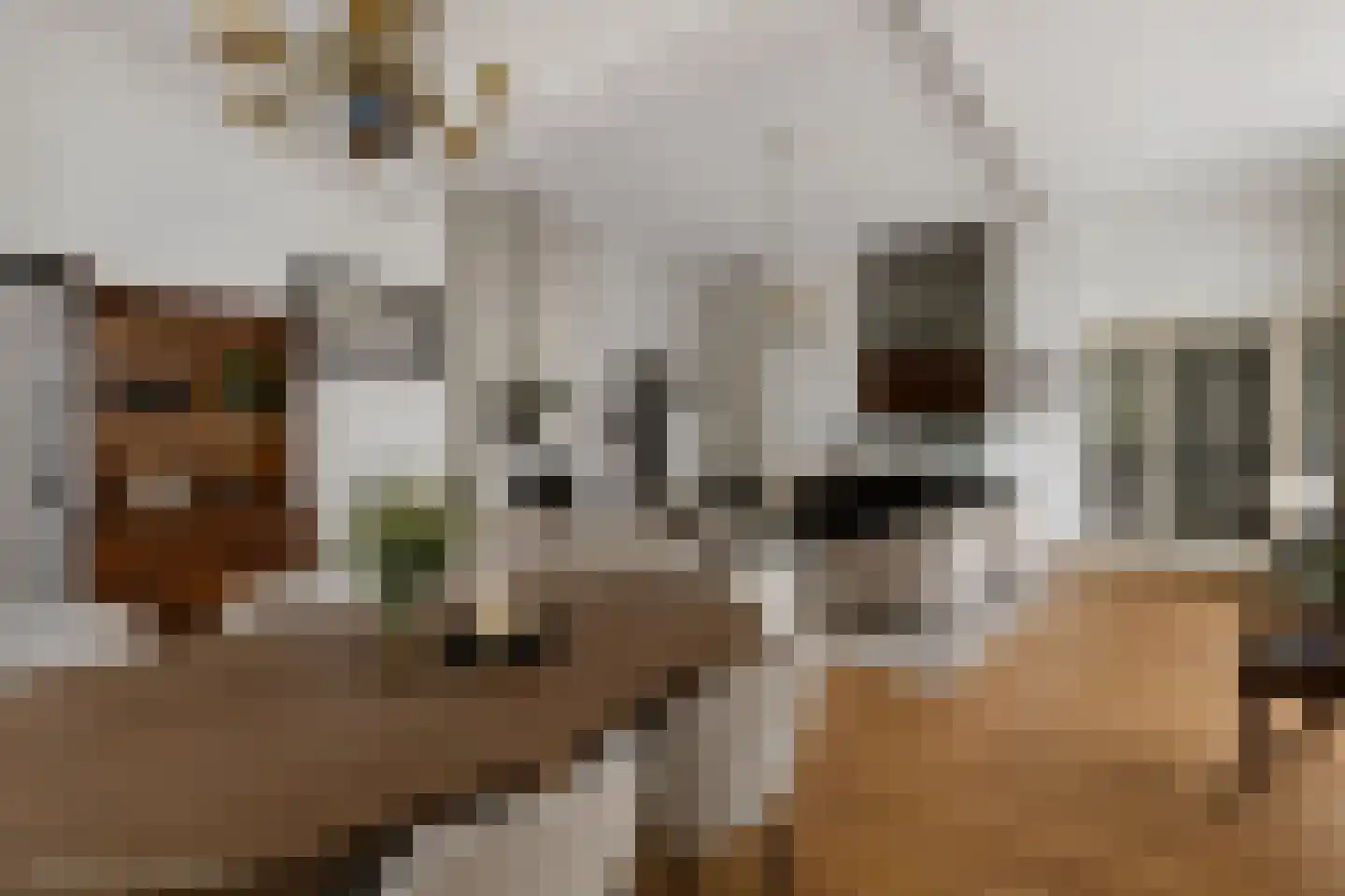 Lopikerhof 2 Schoonhoven thumbnail 18