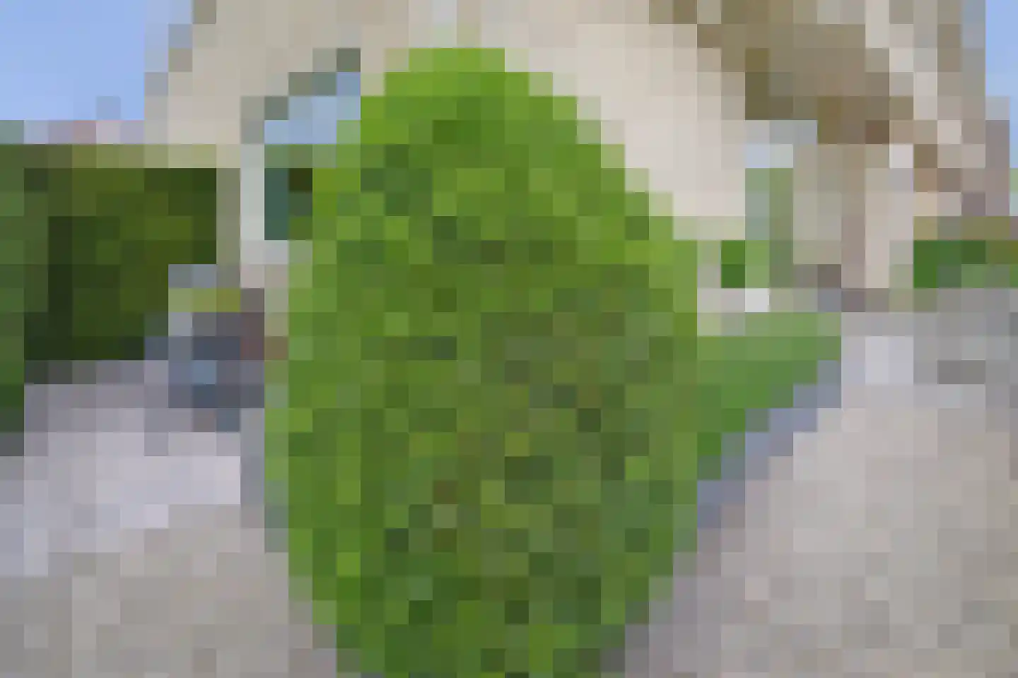 Lopikerhof 2 Schoonhoven thumbnail 25