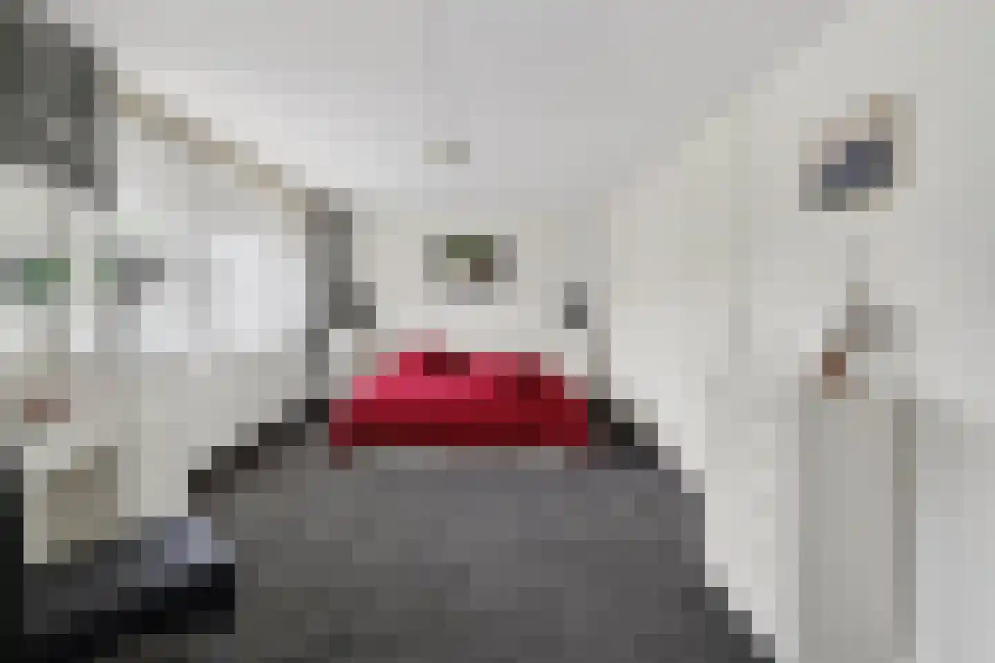 Lopikerhof 2 Schoonhoven thumbnail 30