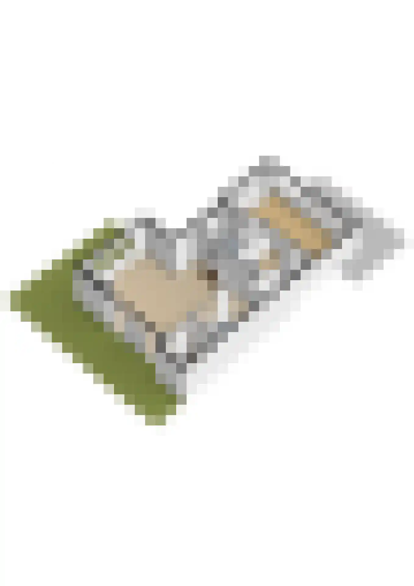 Lopikerhof 2 Schoonhoven thumbnail 52