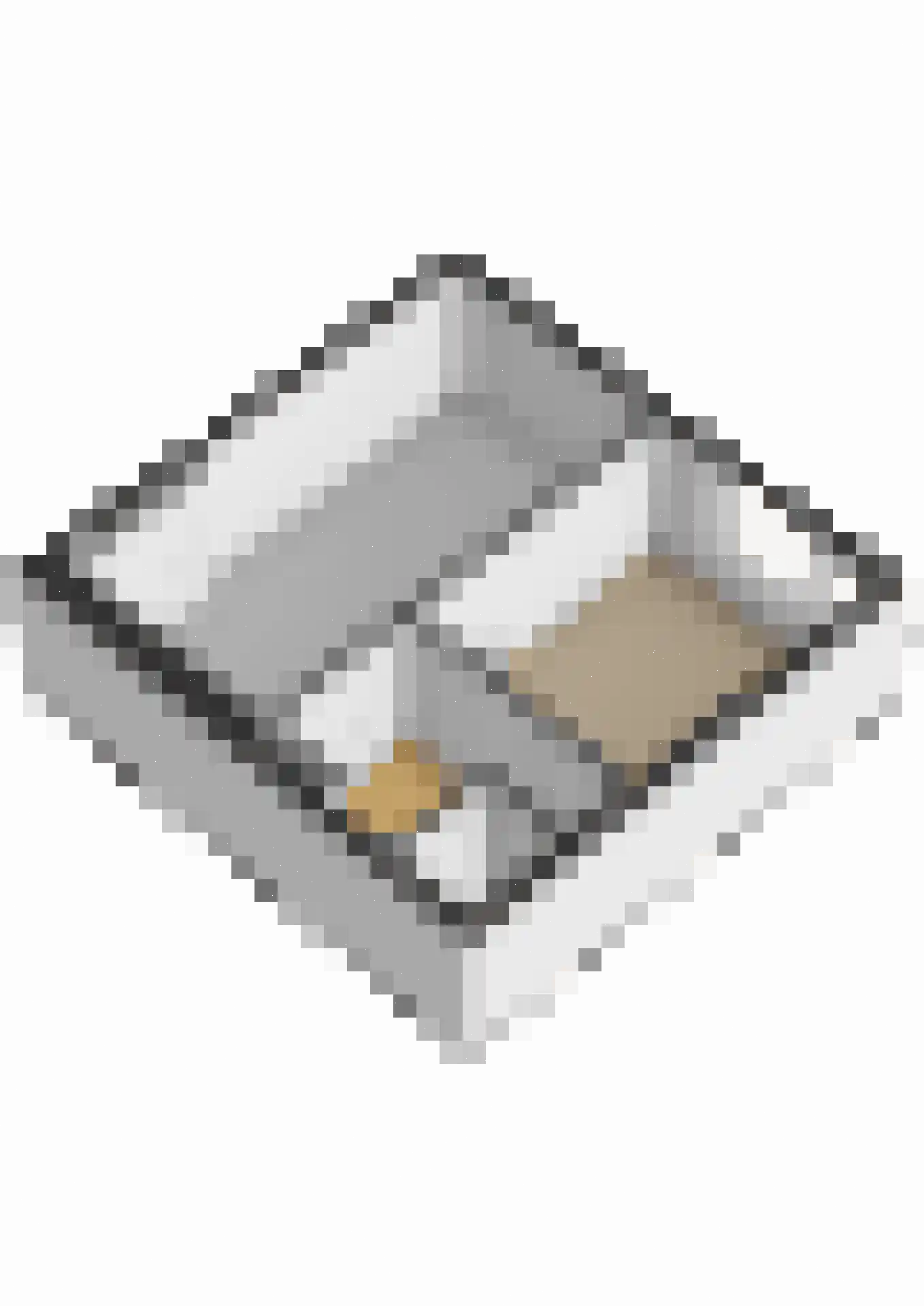 Lopikerhof 2 Schoonhoven thumbnail 54