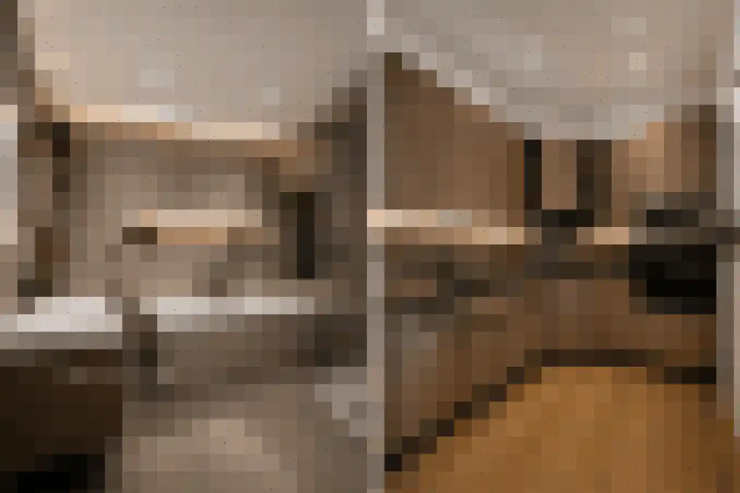 Lopikerhof 2 Schoonhoven thumbnail 7