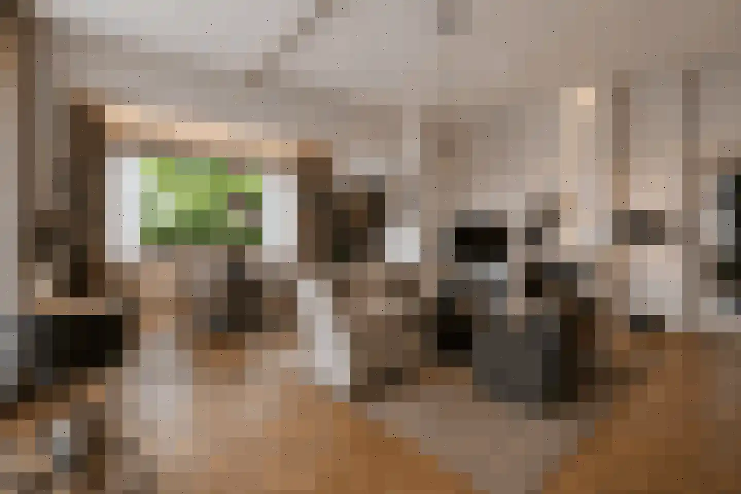 Lopikerhof 2 Schoonhoven thumbnail 8