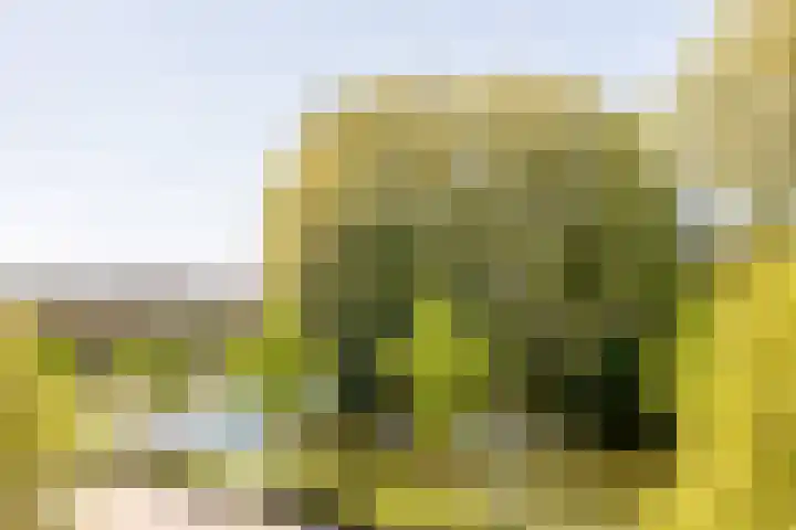Lopikersingel 11 k Schoonhoven thumbnail 10