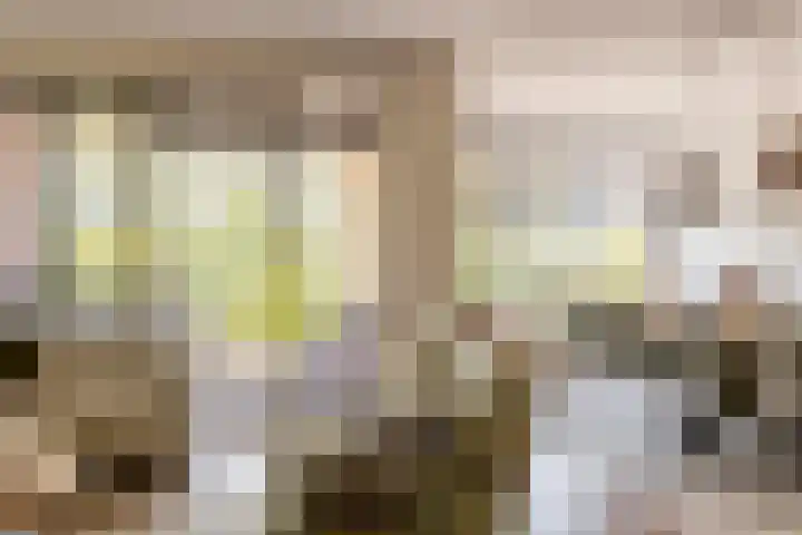 Lopikersingel 11 k Schoonhoven thumbnail 4