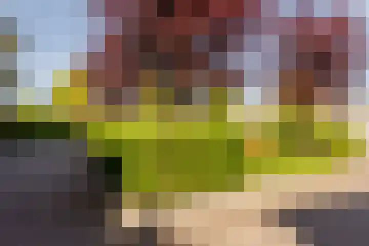 Lopikersingel 11 k Schoonhoven thumbnail 48