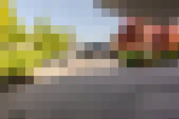 Lopikersingel 11 k Schoonhoven thumbnail 50