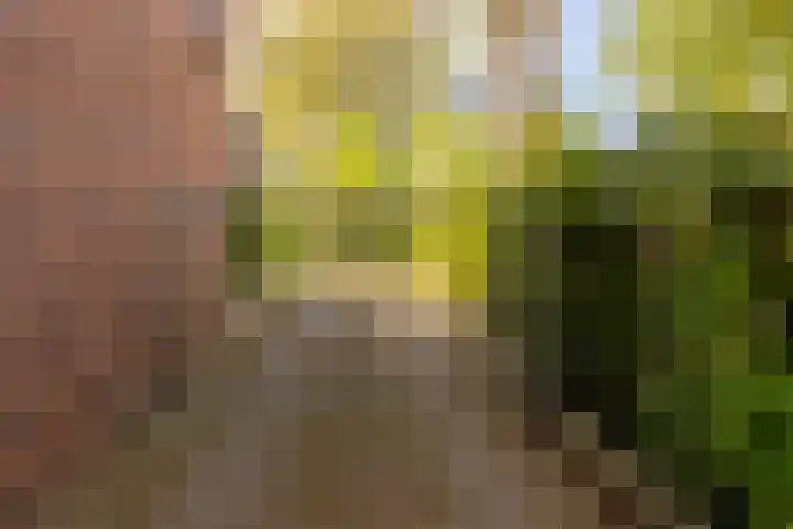 Lopikersingel 11 k Schoonhoven thumbnail 52