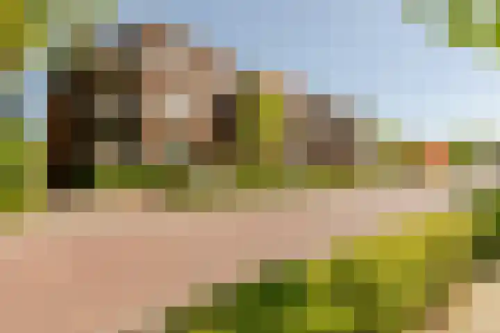 Lopikersingel 11 k Schoonhoven thumbnail 55