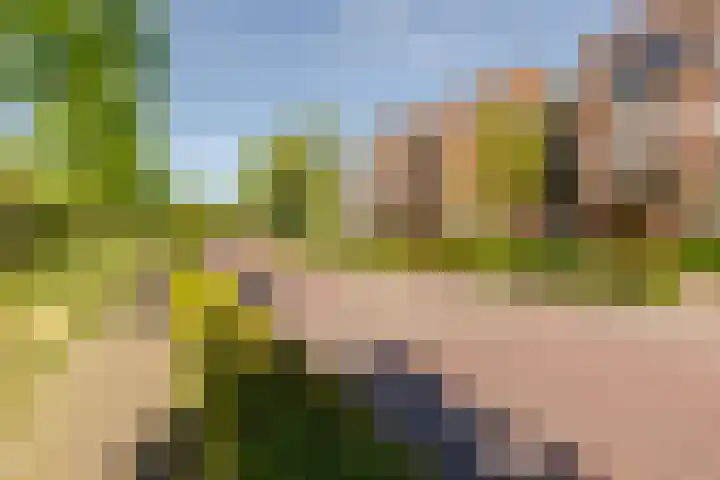 Lopikersingel 11 k Schoonhoven thumbnail 58
