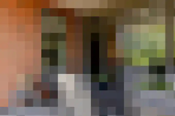 Lopikersingel 11 k Schoonhoven thumbnail 65