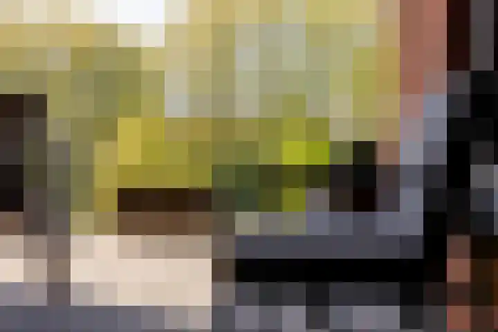 Lopikersingel 11 k Schoonhoven thumbnail 67