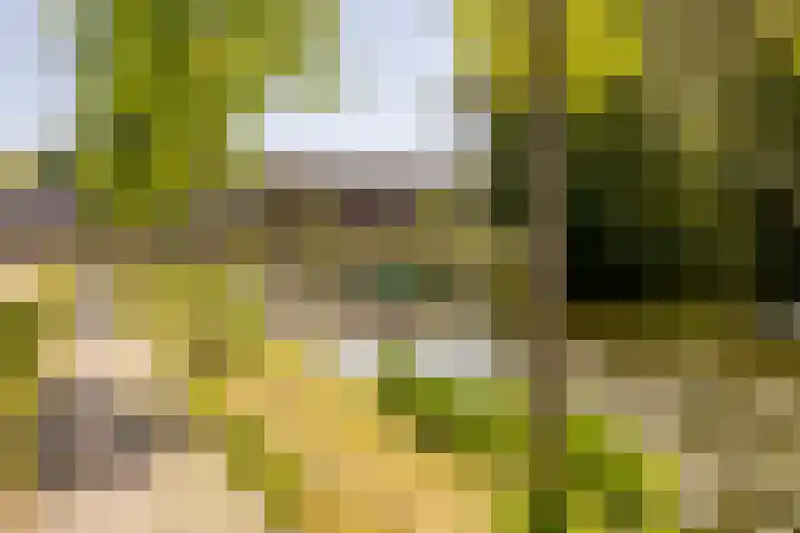 Lopikersingel 11 k Schoonhoven thumbnail 68
