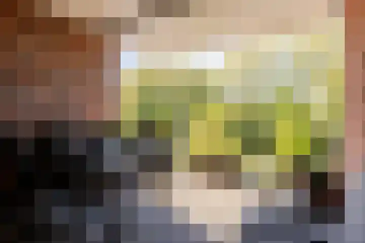 Lopikersingel 11 k Schoonhoven thumbnail 9