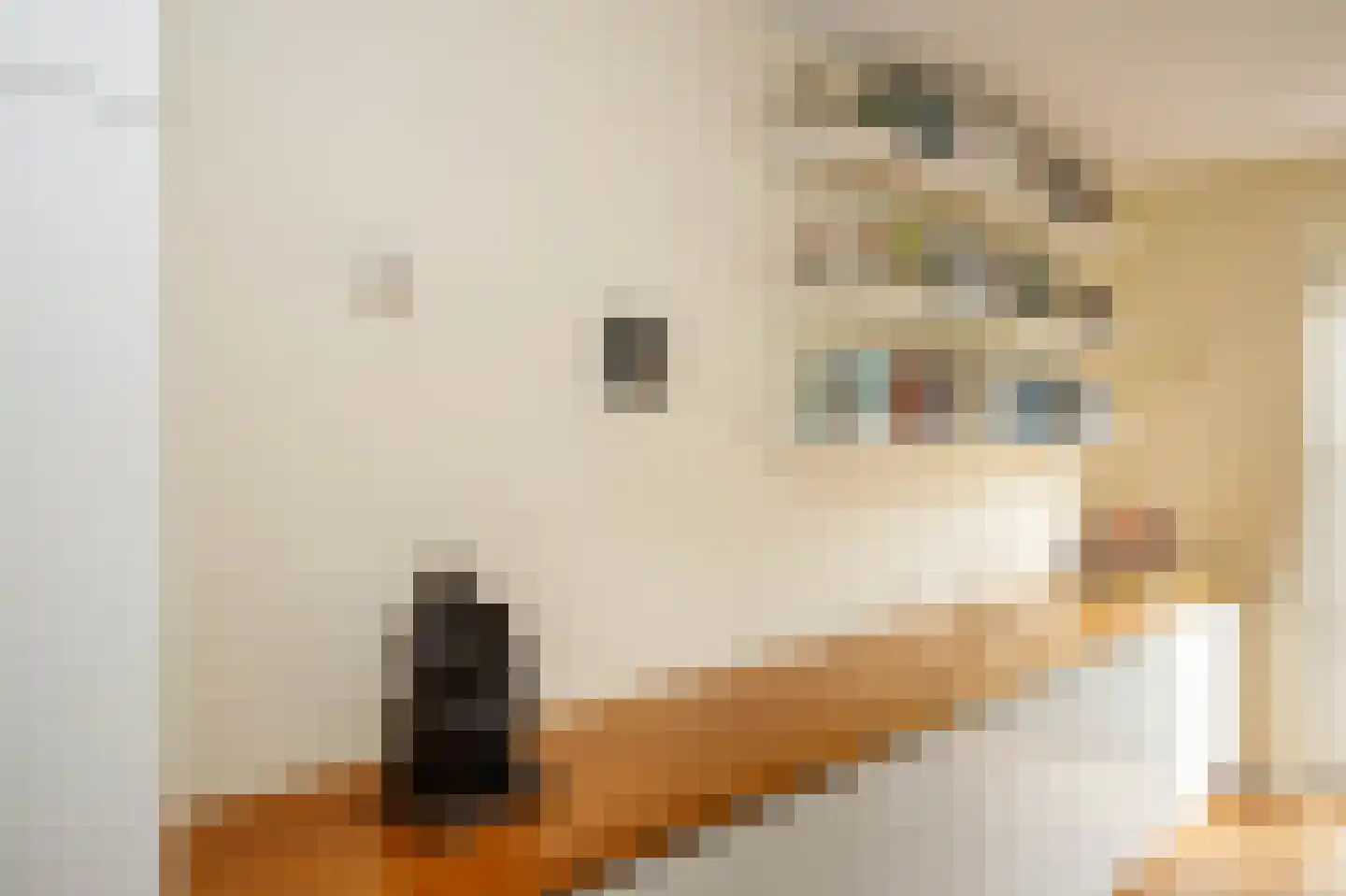 Lopikersingel 15 Schoonhoven thumbnail 20