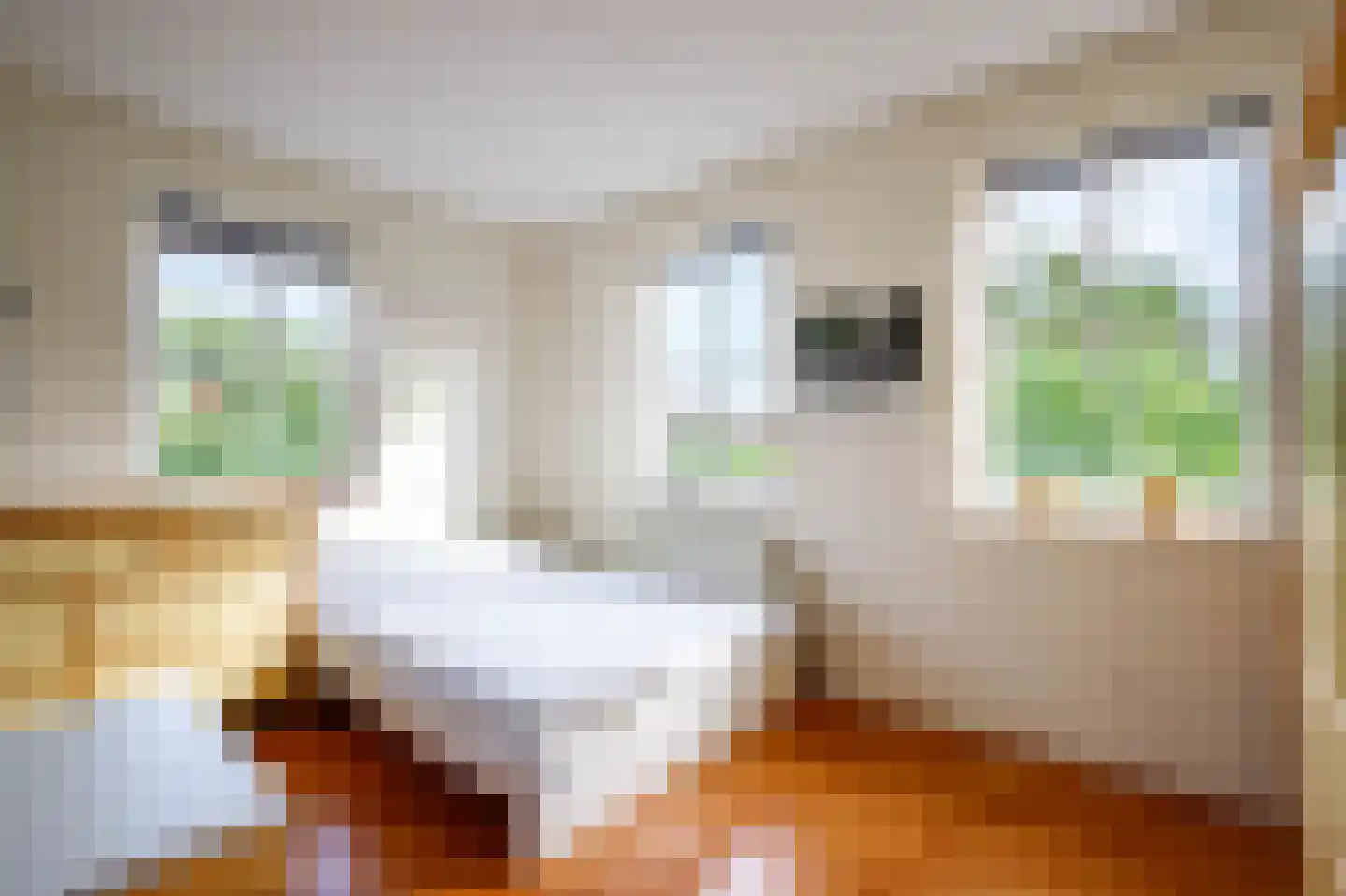 Lopikersingel 15 Schoonhoven thumbnail 31