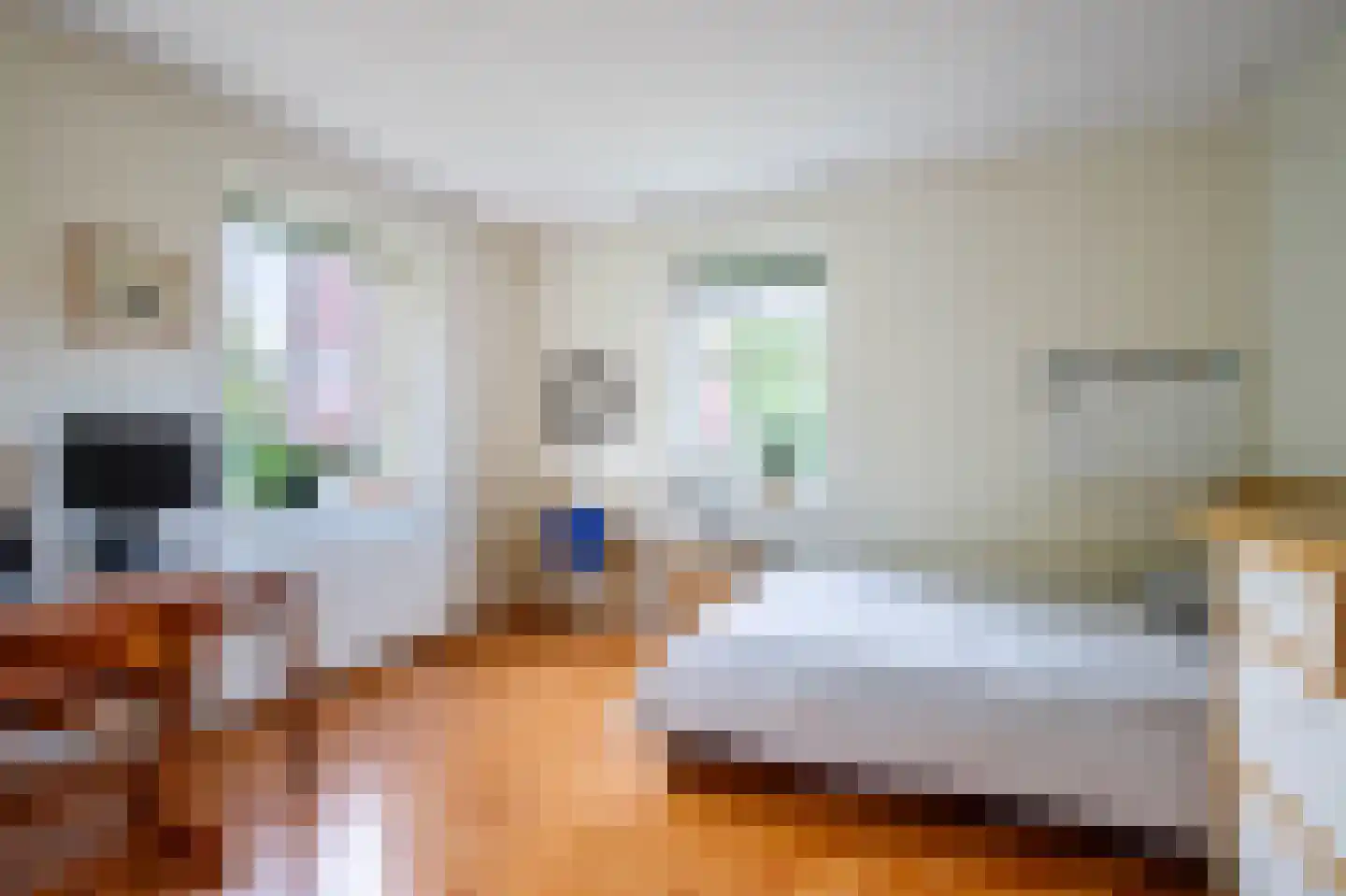 Lopikersingel 15 Schoonhoven thumbnail 32