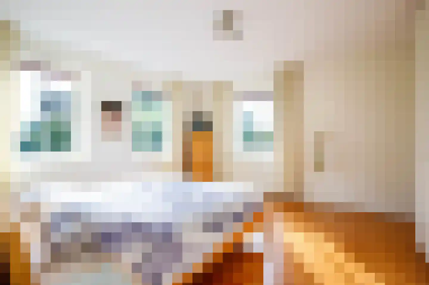 Lopikersingel 15 Schoonhoven thumbnail 37