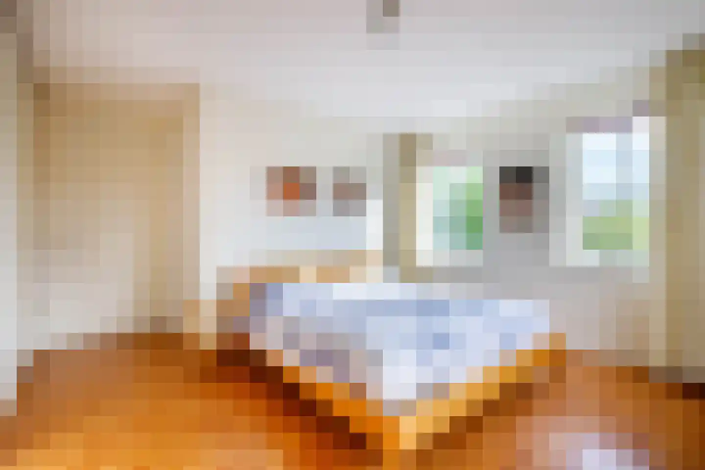 Lopikersingel 15 Schoonhoven thumbnail 38