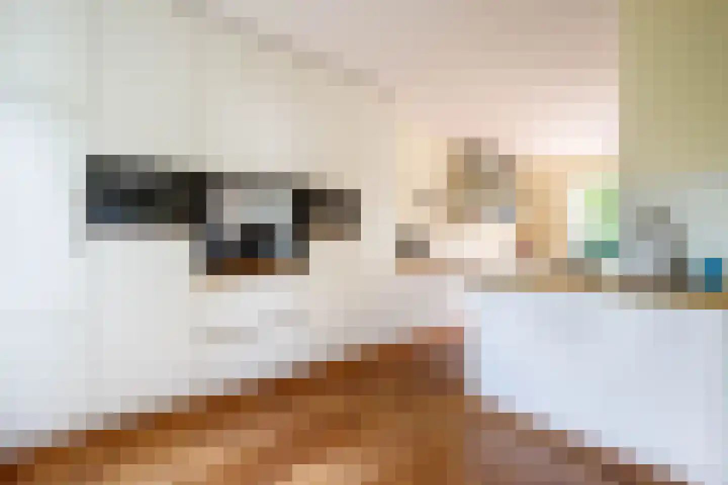 Lopikersingel 15 Schoonhoven thumbnail 4