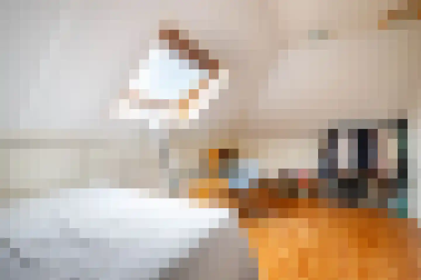 Lopikersingel 15 Schoonhoven thumbnail 47