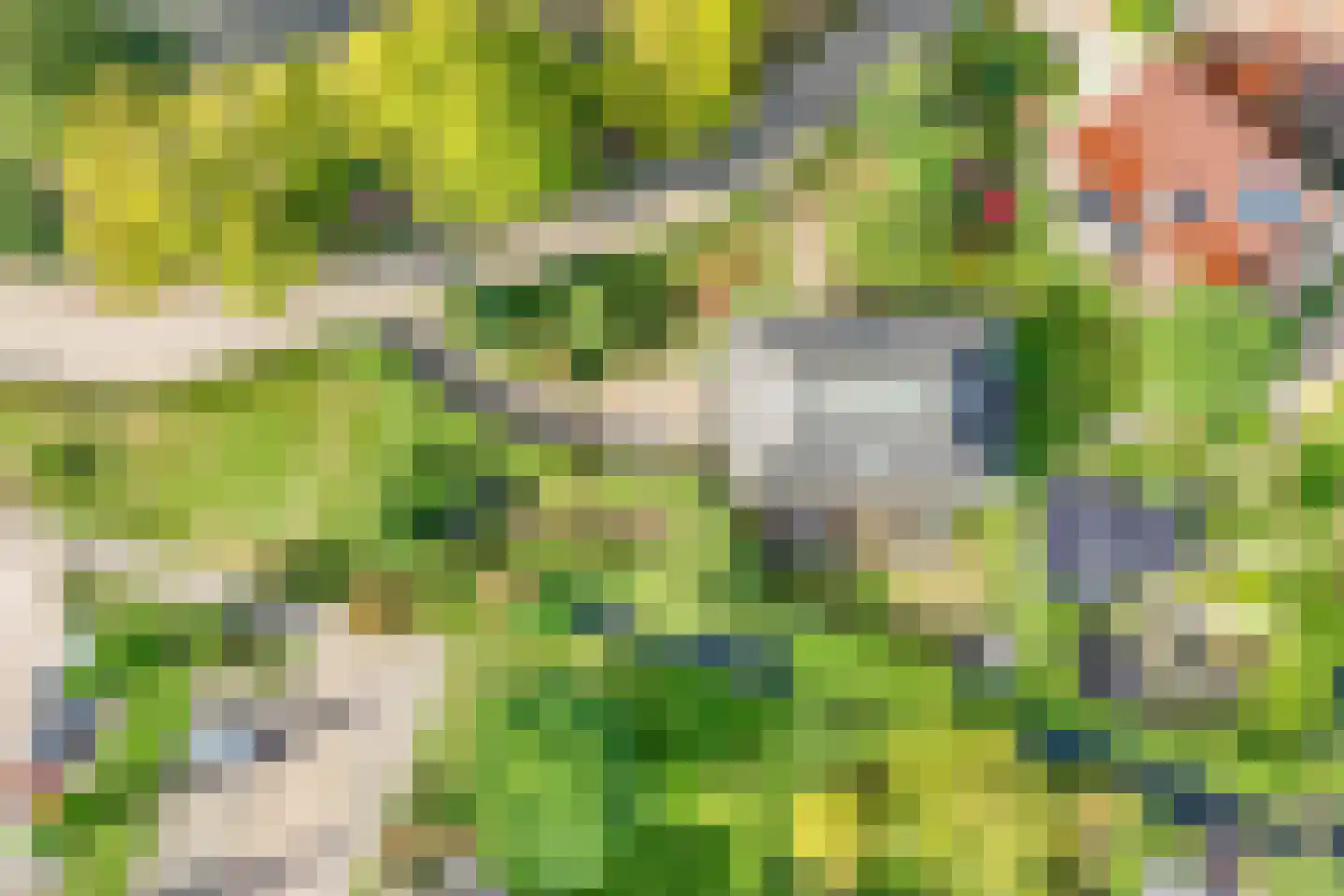 Lopikersingel 15 Schoonhoven thumbnail 52