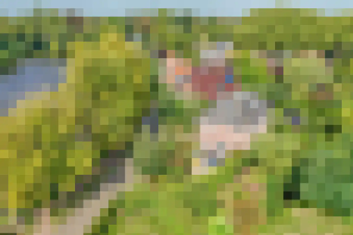 Lopikersingel 15 Schoonhoven thumbnail 53