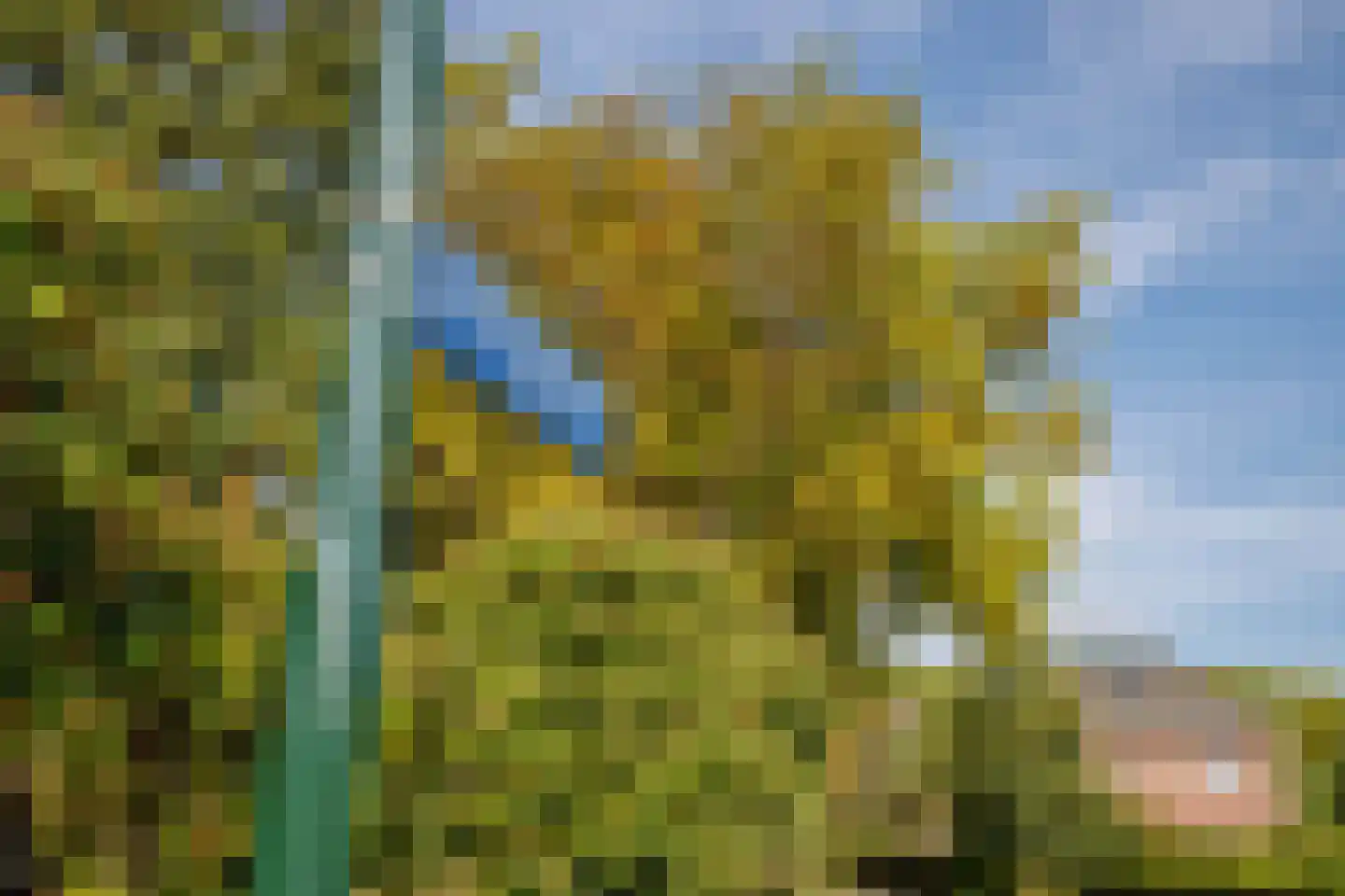 Lopikersingel 15 Schoonhoven thumbnail 54