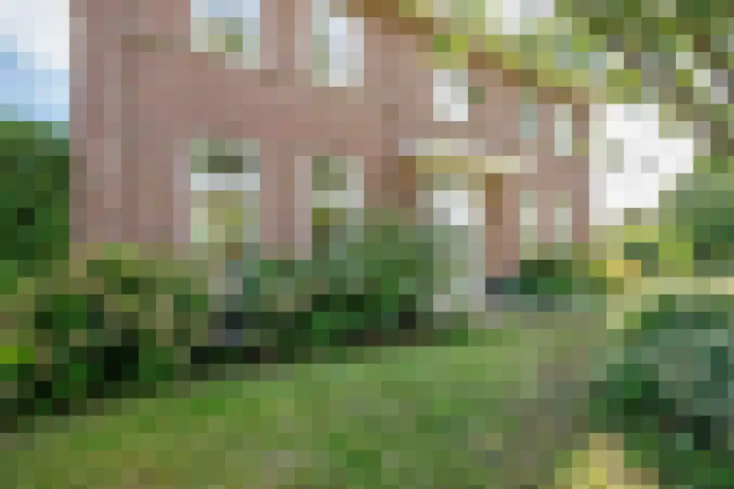 Lopikersingel 15 Schoonhoven thumbnail 59