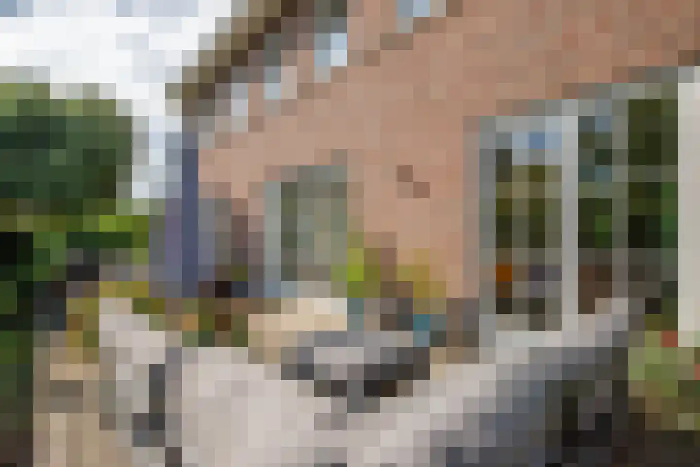 Lopikersingel 15 Schoonhoven thumbnail 63