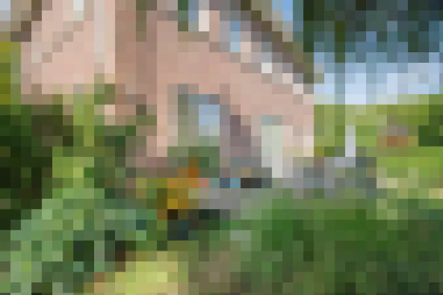 Lopikersingel 15 Schoonhoven thumbnail 64
