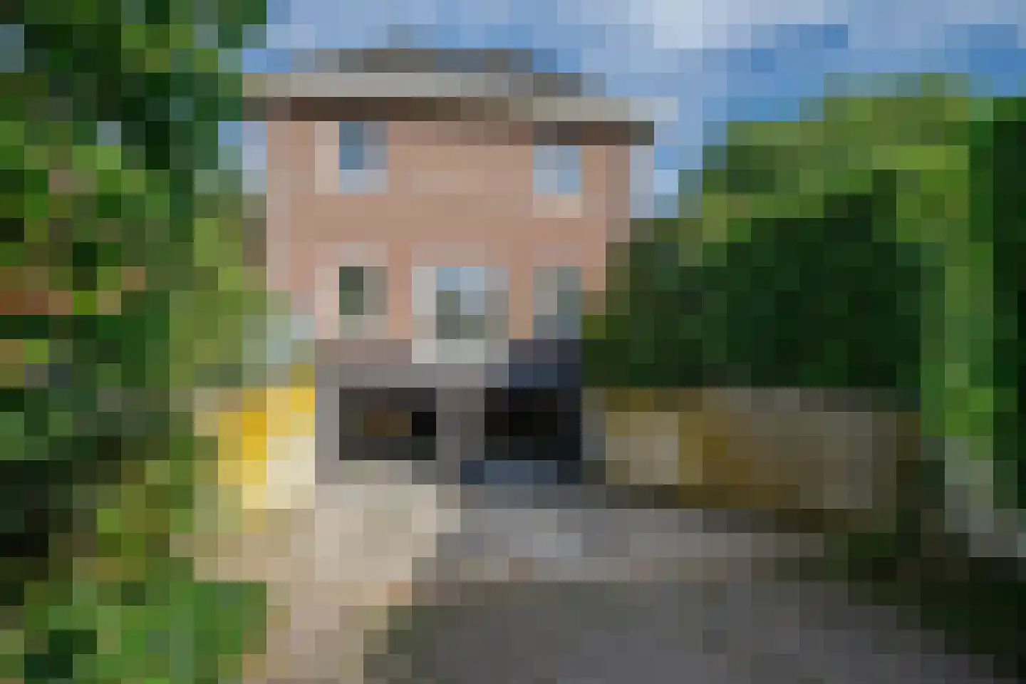 Lopikersingel 15 Schoonhoven thumbnail 67