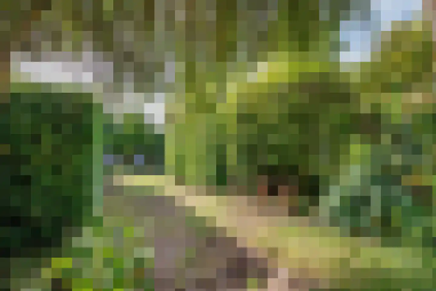 Lopikersingel 15 Schoonhoven thumbnail 71