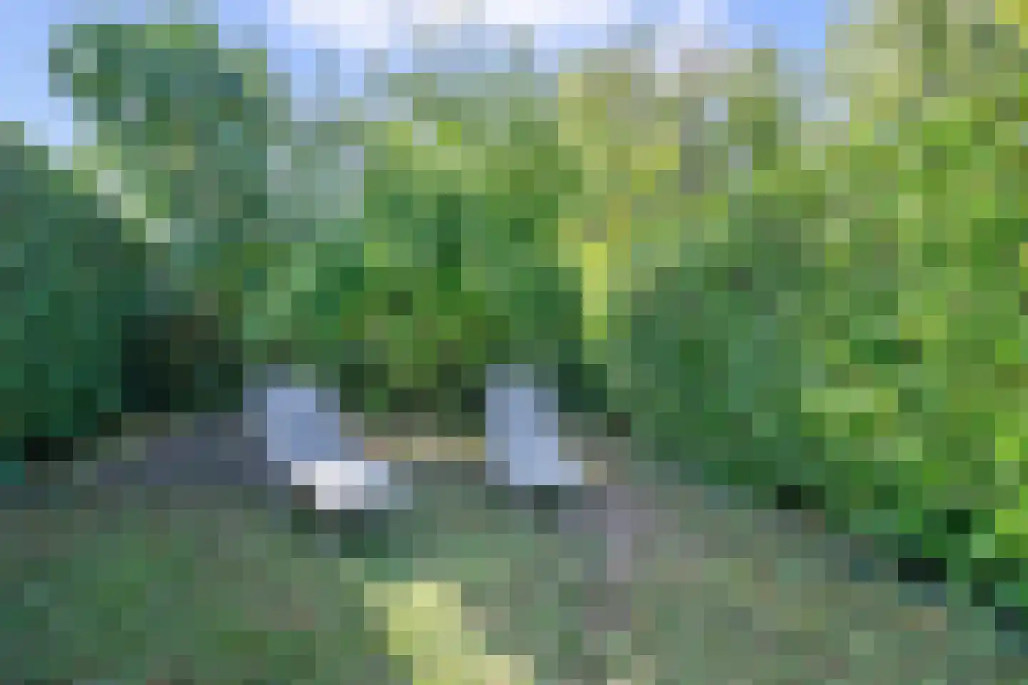 Lopikersingel 15 Schoonhoven thumbnail 72
