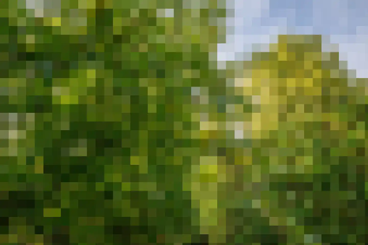 Lopikersingel 15 Schoonhoven thumbnail 73