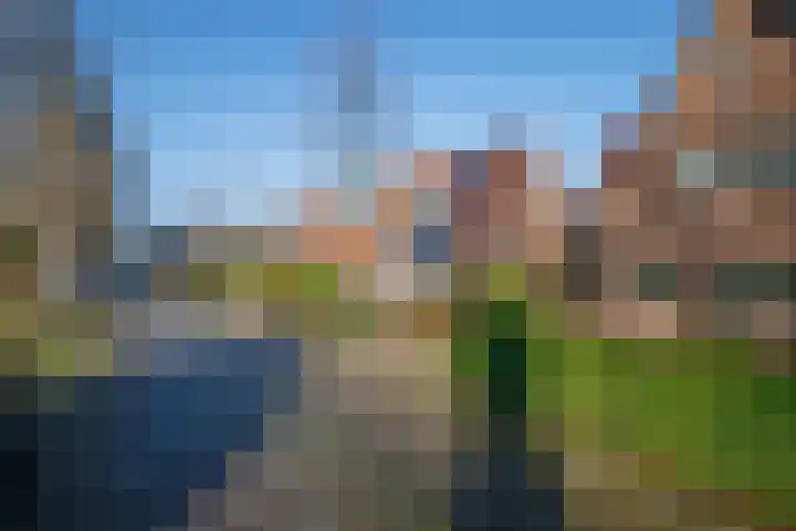 Lopikersingel 19 Schoonhoven thumbnail 31