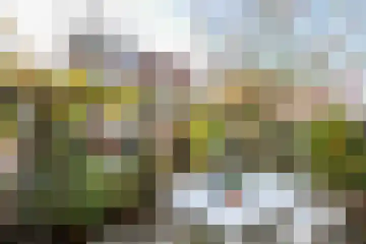 Lopikersingel 19 Schoonhoven thumbnail 43