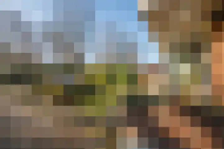 Lopikersingel 19 Schoonhoven thumbnail 5