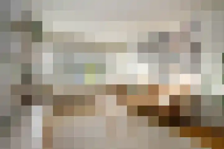 Lopikersingel 19 Schoonhoven thumbnail 9