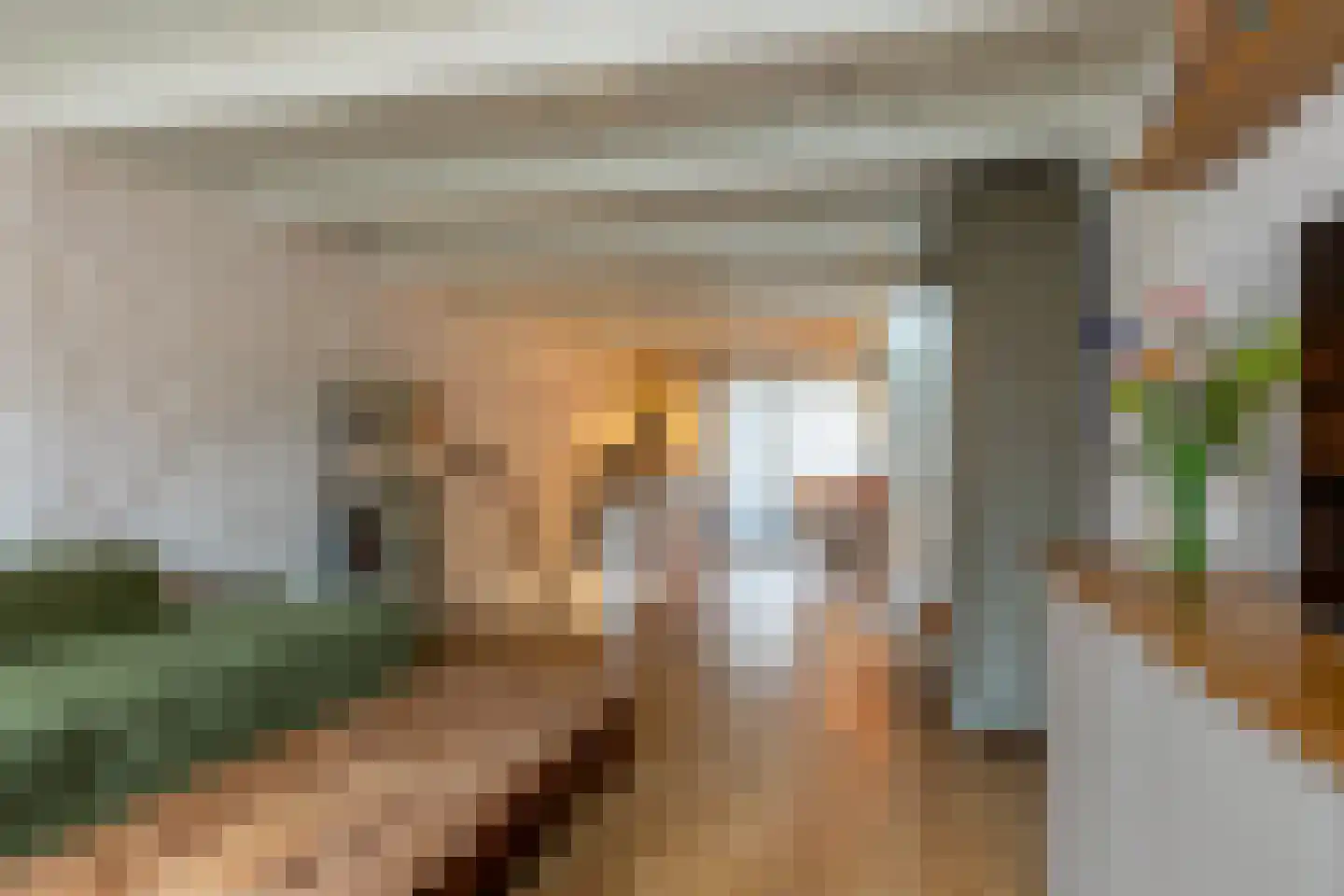Lopikerstraat 17 Schoonhoven thumbnail 28