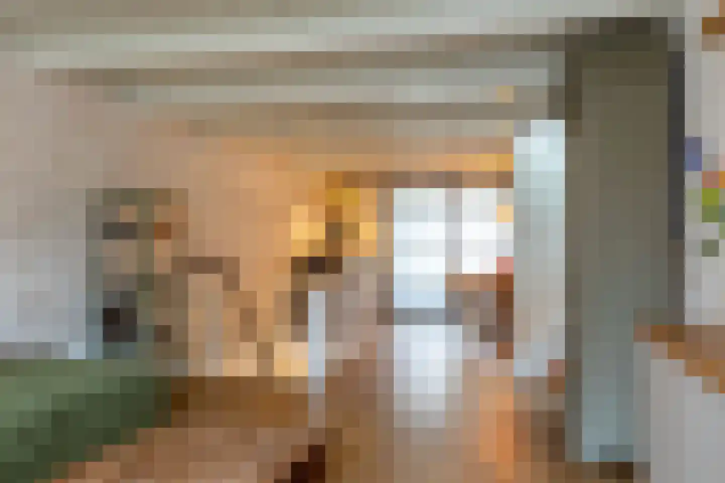 Lopikerstraat 17 Schoonhoven thumbnail 29