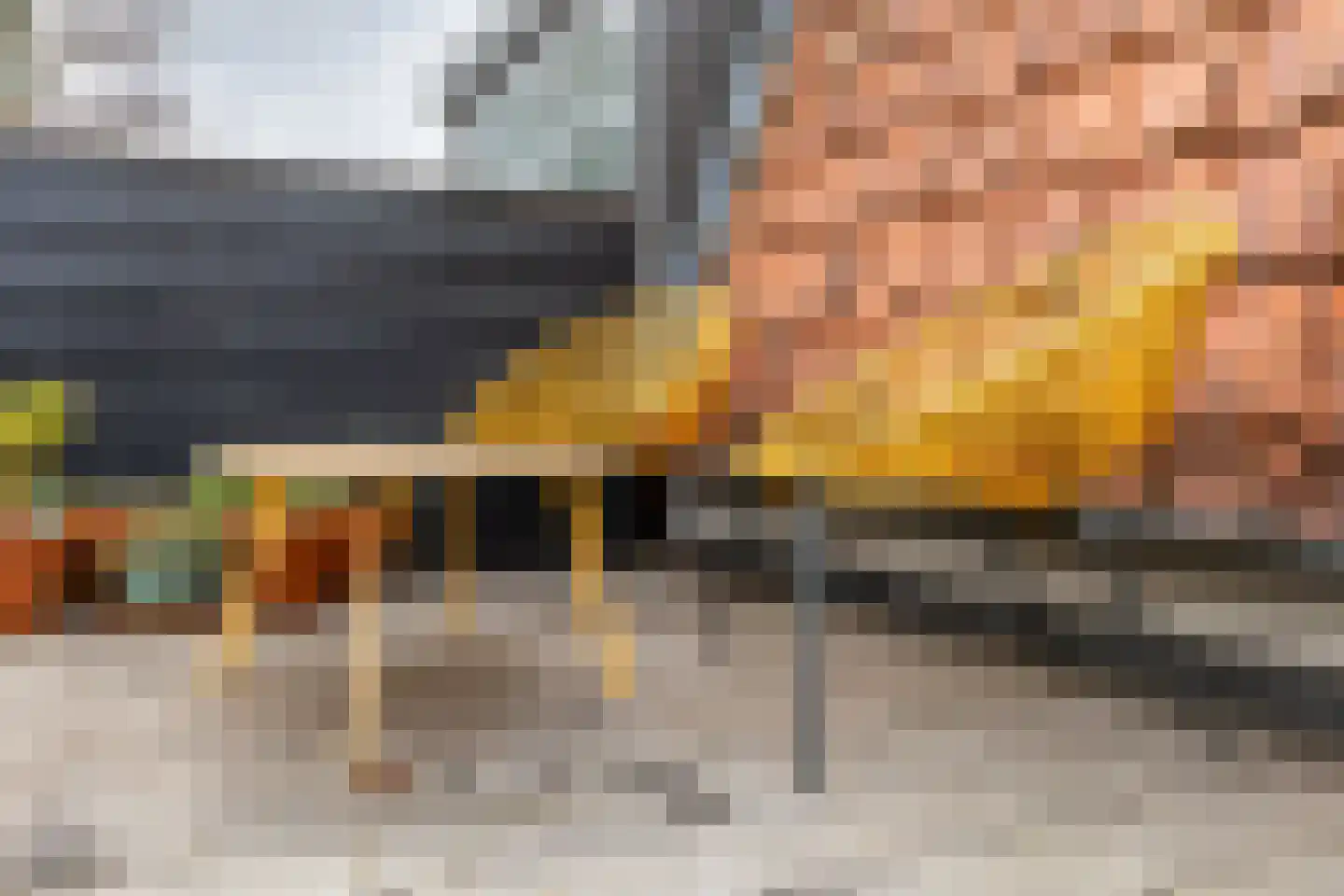 Lopikerstraat 17 Schoonhoven thumbnail 44