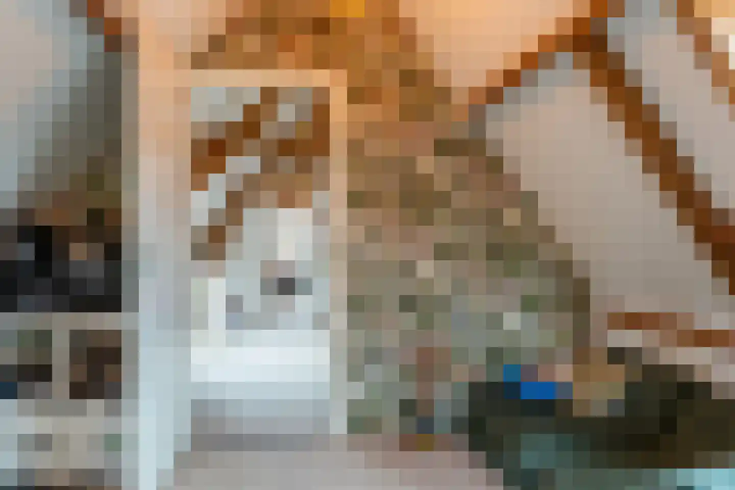 Lopikerstraat 17 Schoonhoven thumbnail 52