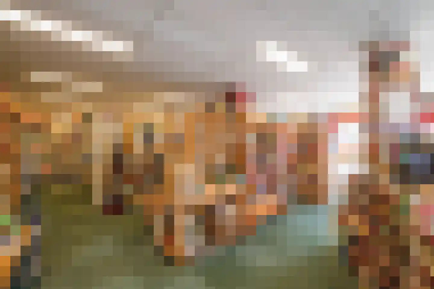 Lopikerstraat 2 Schoonhoven thumbnail 10