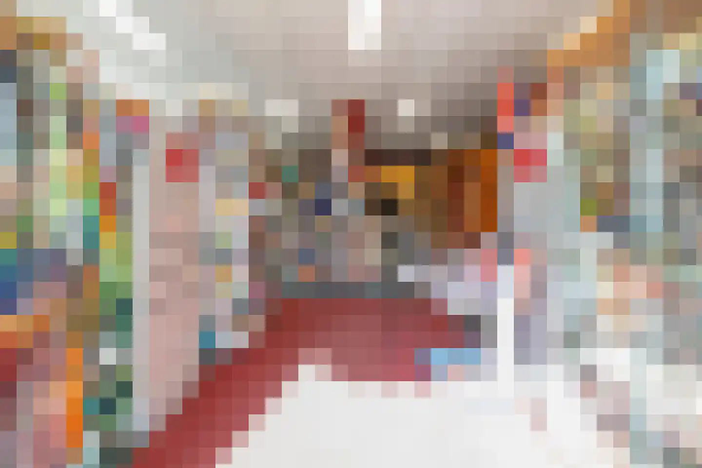Lopikerstraat 2 Schoonhoven thumbnail 7