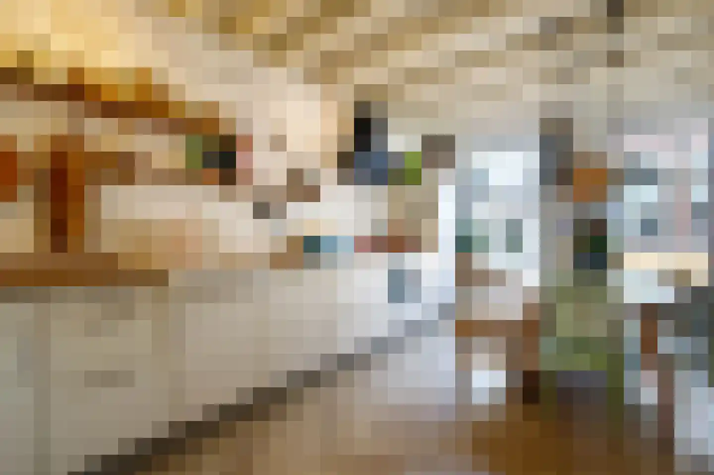Lopikerstraat 25 a Schoonhoven thumbnail 10