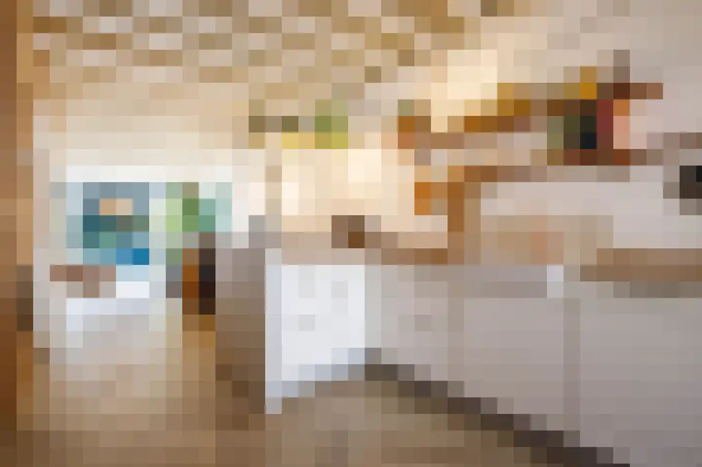 Lopikerstraat 25 a Schoonhoven thumbnail 12