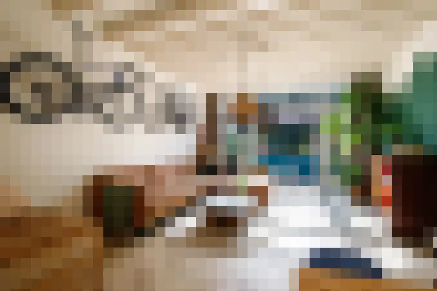 Lopikerstraat 25 a Schoonhoven thumbnail 19