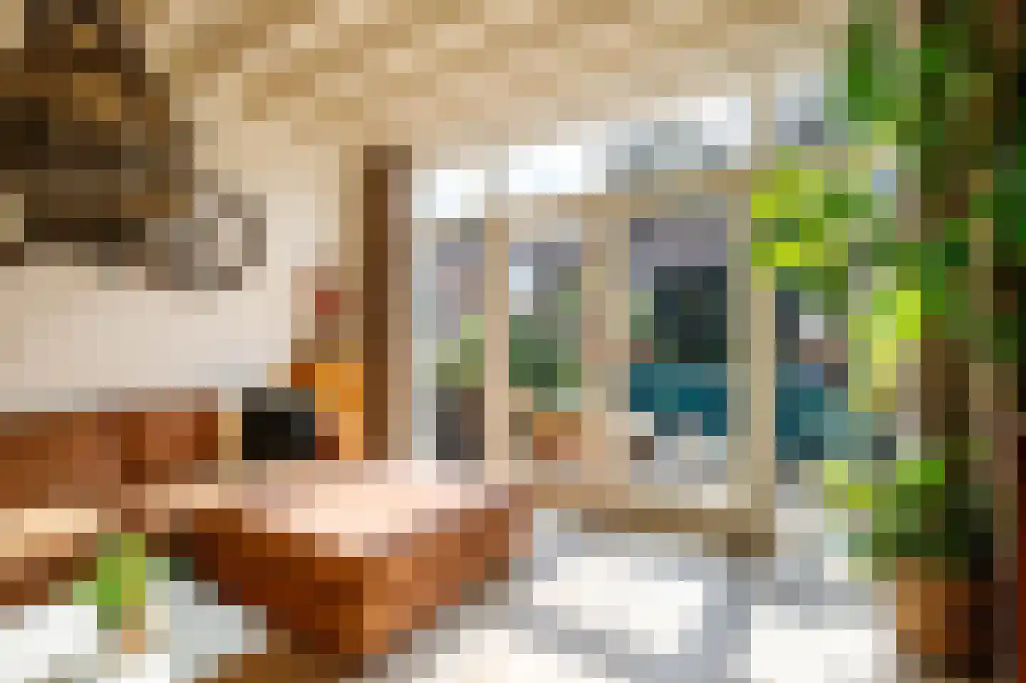 Lopikerstraat 25 a Schoonhoven thumbnail 24